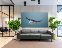 "Minah" – Canvas Print of a Female Manta Ray
