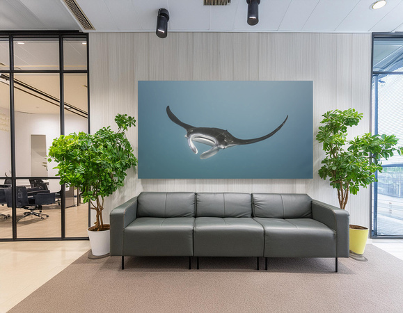 "Minah" – Canvas Print of a Female Manta Ray