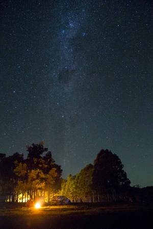 Camping at lake St Clair