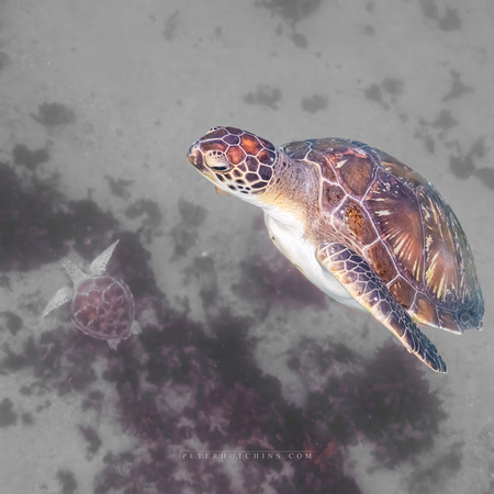 Checking out what's below