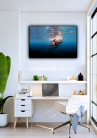 Ocean Embrace – Fur Seal Family in Crystal-Clear Waters