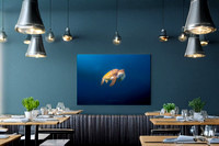 Ocean Serenity - The Floating Green Sea Turtle