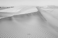 Whispers in the Dune